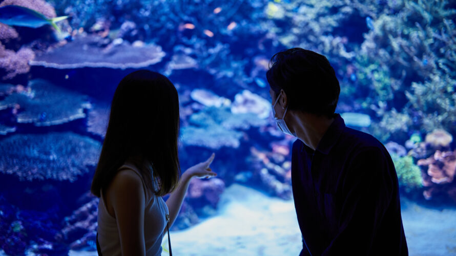 水族館デート