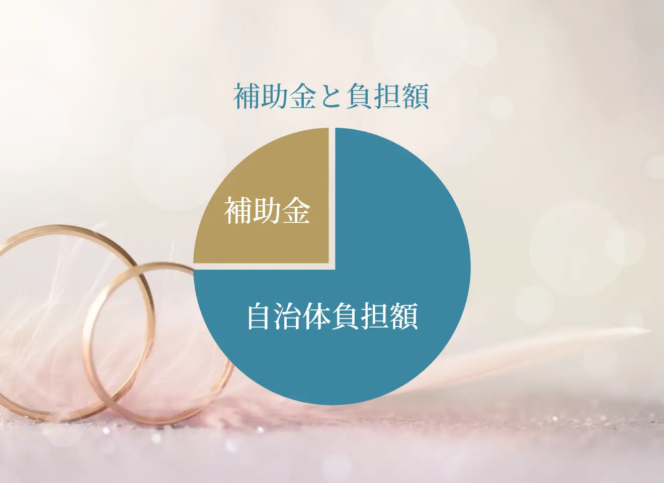 補助金と負担額の割合